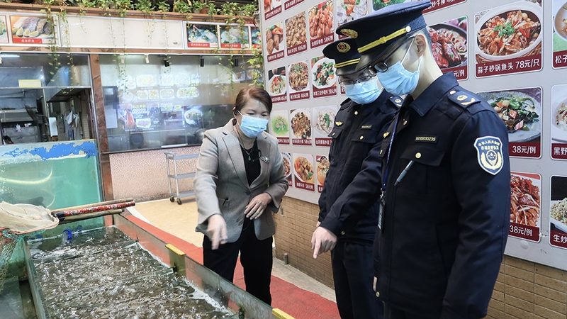食品招商合同：规范条款与注意事项解析