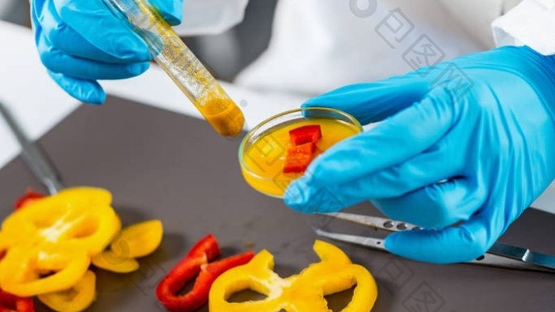 加盟区域保护条款的撰写要点与注意事项